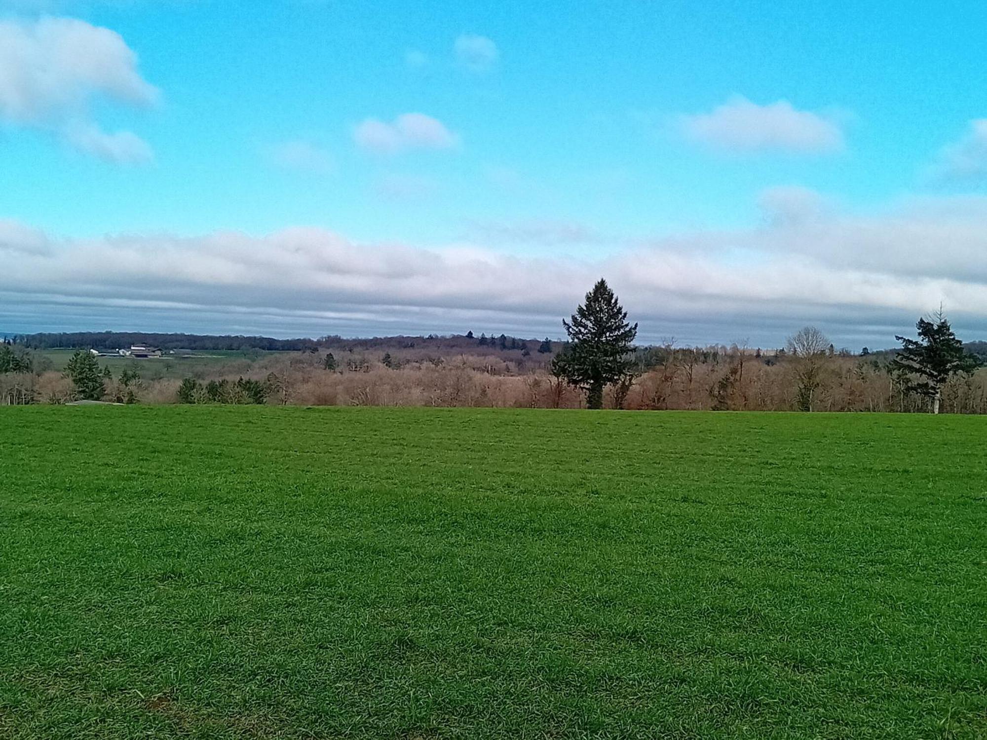 Tranquille Vienne Gites A Chirac Dept Charente Bagian luar foto