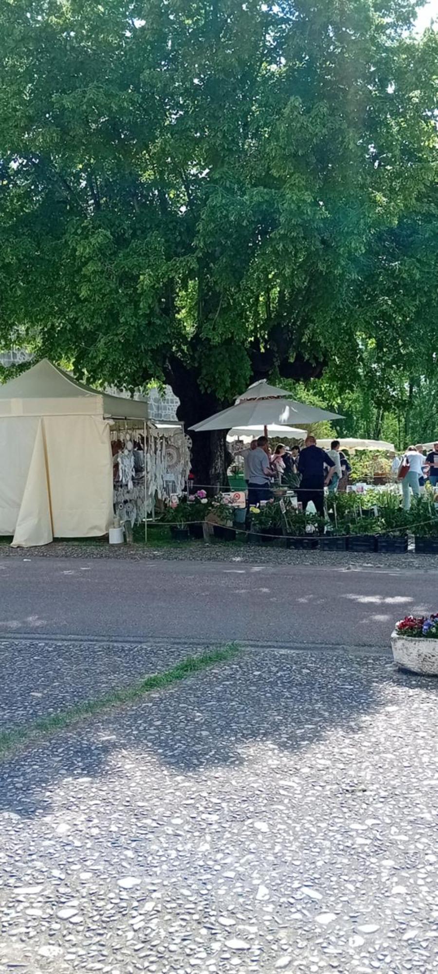 Tranquille Vienne Gites A Chirac Dept Charente Bagian luar foto